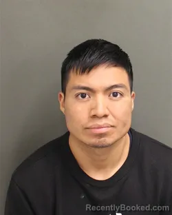 Mugshot of LUIS DONALDO PEREZBRAVO