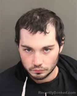 Mugshot of ROBERT III BORGES