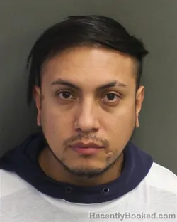 Mugshot of MARVIN ALEJANDRO HERNANDEZVARGAS