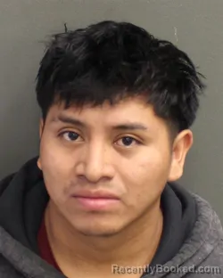 Mugshot of MAYNOR ADONIAS DOMINGOLOPEZ