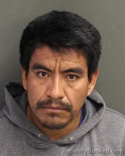 Mugshot of LEONOR VASQUEZLUIS