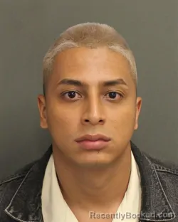 Mugshot of LUIS SEBASTIAN ABADIE