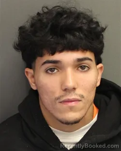 Mugshot of ALEJANDRO FIGUEROARIVERA