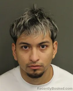 Mugshot of LUIS FERNANDO ALARCONLEAL