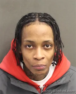 Mugshot of SHANNY LETICIA ARZU