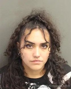 Mugshot of JOYLIZ ANN DELGADOSOTO