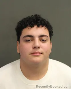 Mugshot of JULIAN OREN