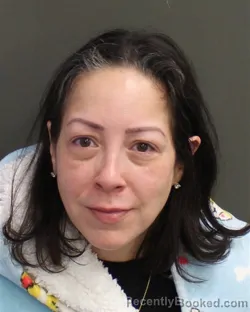 Mugshot of JAMILZA ENID COLLAZO