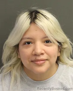 Mugshot of REBECA MICHELL BARCOESPINOZA