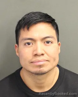 Mugshot of LUIS DONALDO PEREZBRAVO