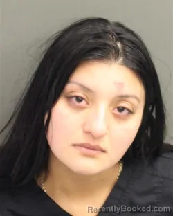 Booking photo from Orange County, Florida
