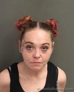 Mugshot of BRITTANY MICHELLE WISCHMEYER