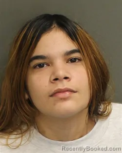 Mugshot of ESTEFANI DANIELA LINARESMARIN