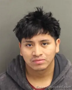 Mugshot of MAYNOR ADONIAS DOMINGOLOPEZ