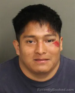 Mugshot of LEVITT HERNANDEZAGUILAR