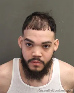 Booking photo from Orange County, Florida