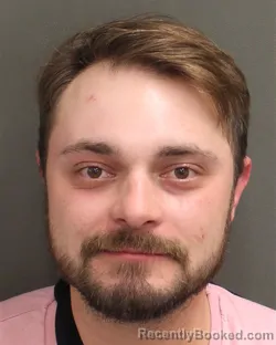 Mugshot of JOAO P VIEIRA