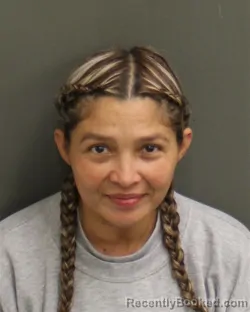 Mugshot of DIANA D ZAVALA