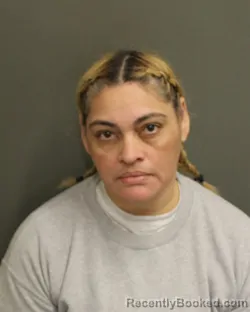 Mugshot of ELISIDA NOELI DUARTEMEZA