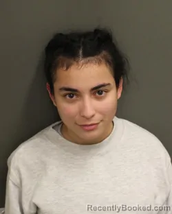 Mugshot of ALEXANDRA GISELLE VERDUDEANDRADE