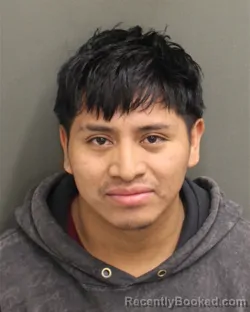 Mugshot of MAYNOR ADONIAS DOMINGOLOPEZ