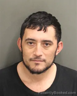 Mugshot of JUAN RUBEN LEPEALVAREZ