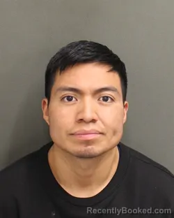 Mugshot of LUIS DONALDO PEREZBRAVO
