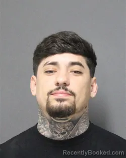 Mugshot of ROBBIE SHAWN JR WADKINS