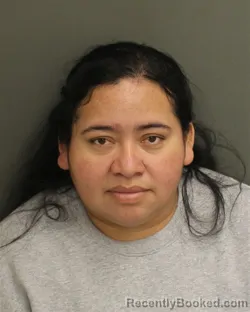 Mugshot of ZULMA LOPEZGONZALEZ