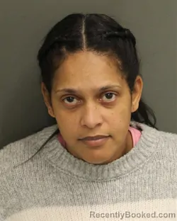 Mugshot of JOCINEA LUZSANTOS