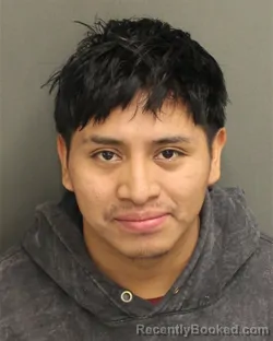 Mugshot of MAYNOR ADONIAS DOMINGOLOPEZ