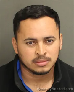 Mugshot of MARVIN ADALID ALVARADOMEZA
