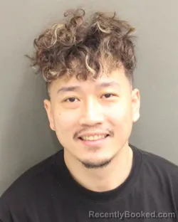 Mugshot of WENLI LIU