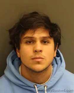 Mugshot of JOSE ALEJANDRO VERMIBLANCO