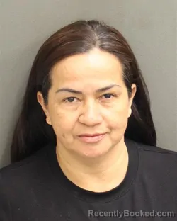 Mugshot of LEONOR ISABEL CARVAJALALVARADO