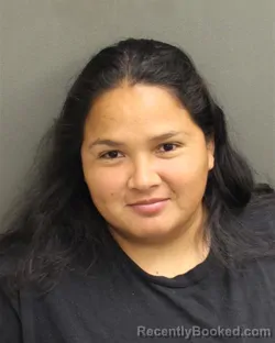 Mugshot of LILIAN CANTARERORODRIGUEZ