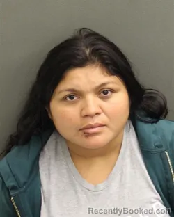 Mugshot of ANA LUZ LOPEZGONZALEZ