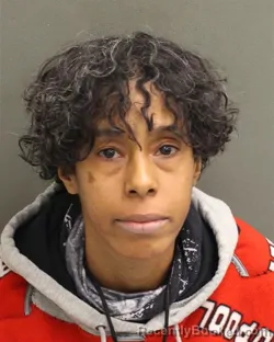 Mugshot of GENEVIEVE THERSE WILTON