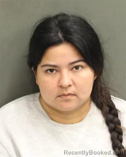 Mugshot of ZOILA CASTILLORODRIGUEZ