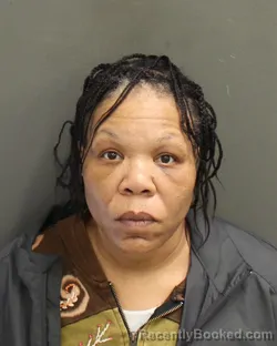 Mugshot of LOUCINDA MARIE STEPHENS