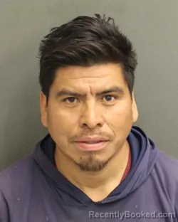 Mugshot of WUILDER MANOLO LOPEZVASQUEZ