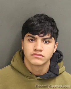 Mugshot of DENILSON FLORENCIOHERRERA