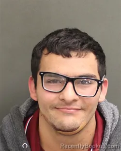 Mugshot of LOICSEBASTIA VALENTINO PALIN