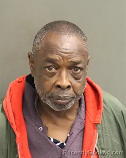 Mugshot of RAY JEROME STYLES