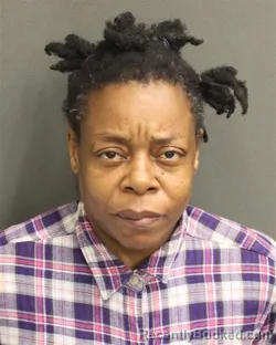 Mugshot of CINDY DENISE WRIGHT