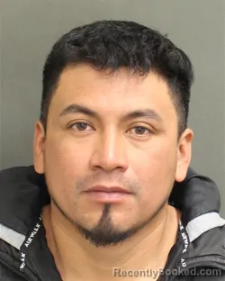 Mugshot of ELICEO SANCHEZCASTELLANOS