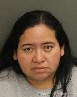 Mugshot of ZULMA LOPEZGONZALEZ