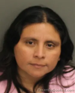 Mugshot of GLENDY VIOLETA AGUILARBRAVO
