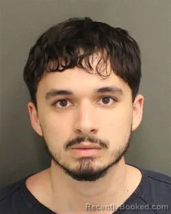 Mugshot of ARIEL RODRIGUEZINSUA