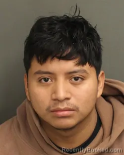 Mugshot of WILSON ELIZANDRO DOMINGOLOPEZ